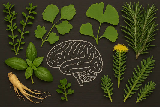 Plantes mémoire concentration