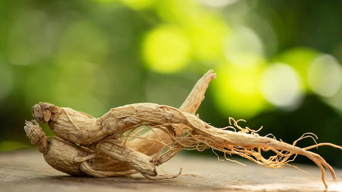 Ginseng et endurance du sportif : Améliorez vos performances naturellement - NATEVIO