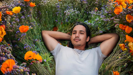 Les meilleures plantes pour dormir