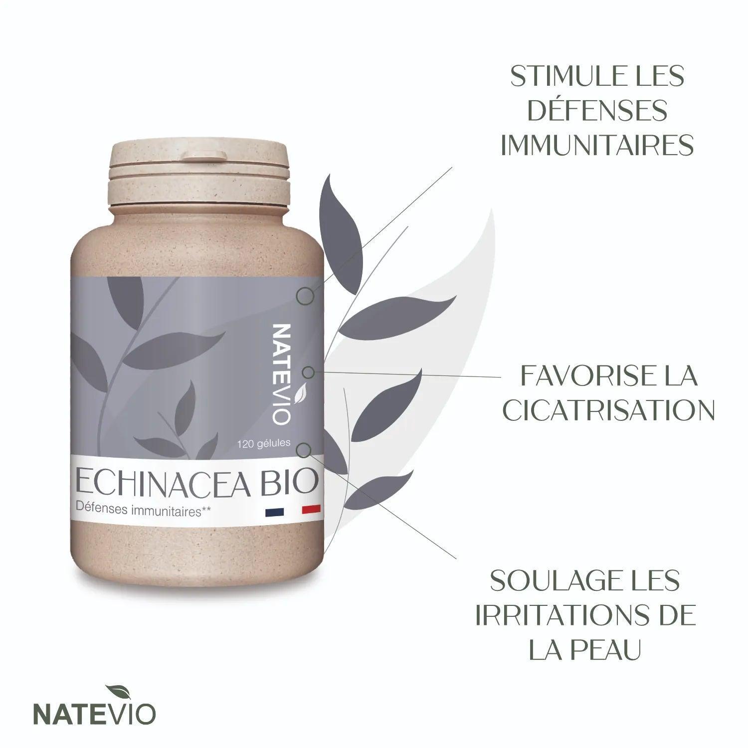 Echinacea Bio 120 gélules - NATEVIO