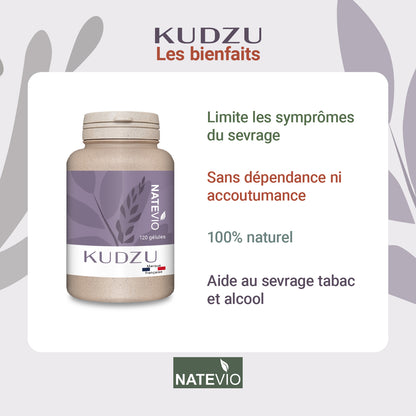 KUDZU – Extrait de racine titré à 8 % d’isoflavones