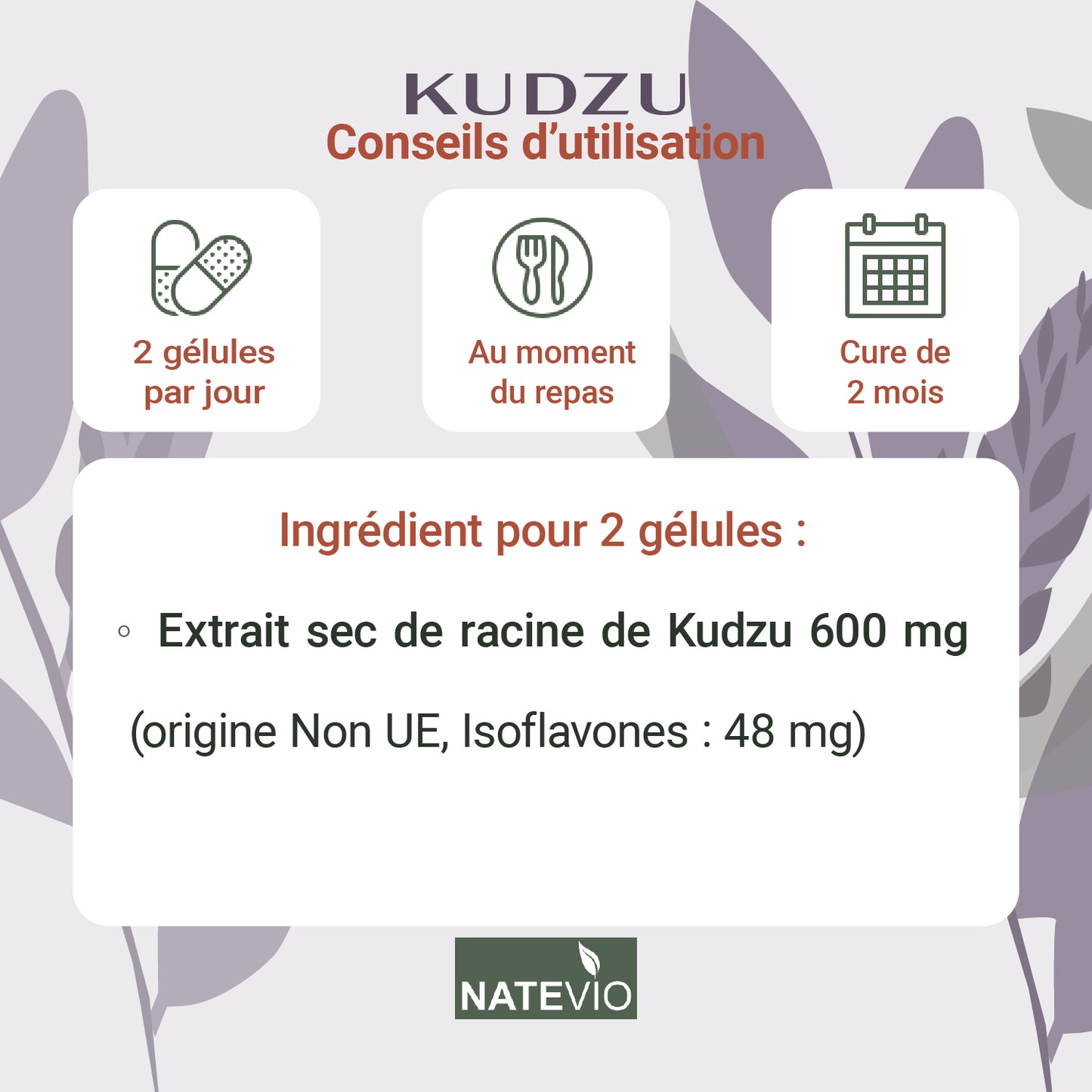 KUDZU – Extrait de racine titré à 8 % d’isoflavones