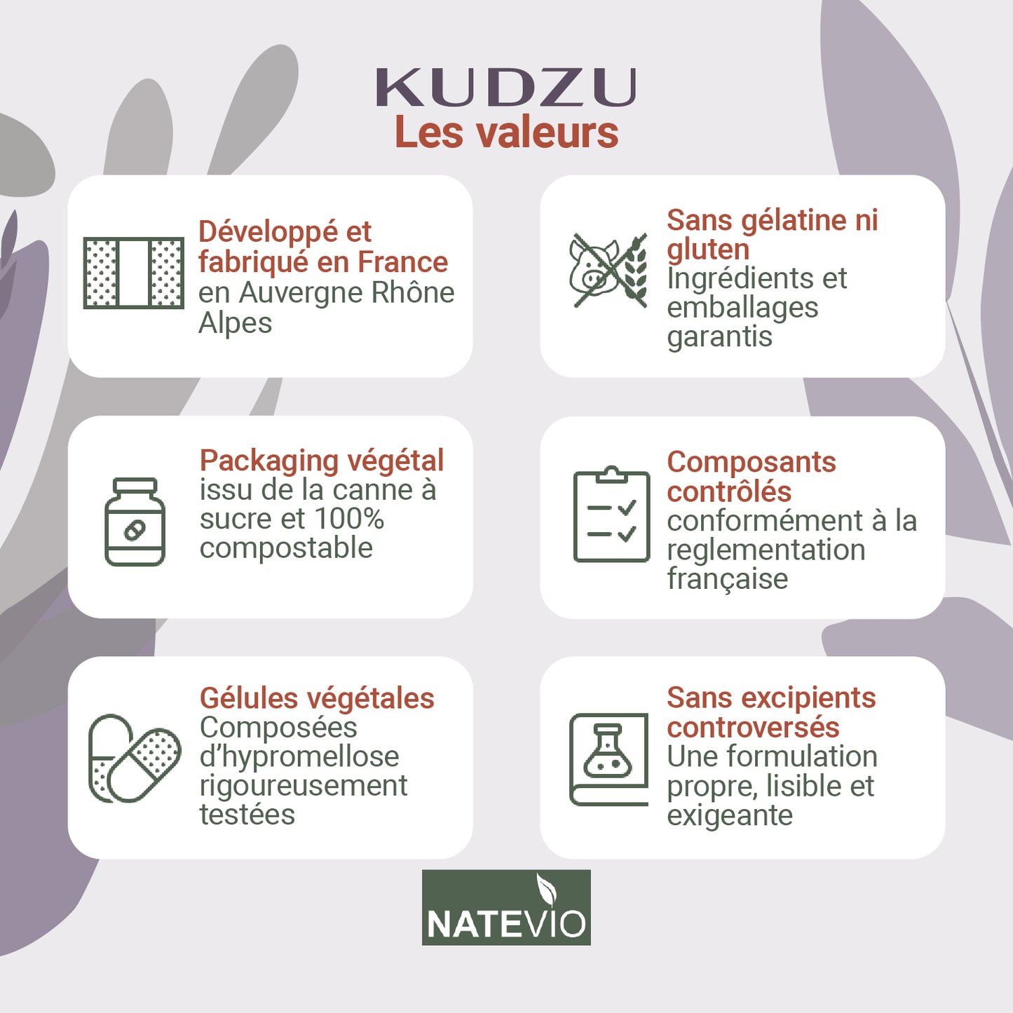 KUDZU – Extrait de racine titré à 8 % d’isoflavones