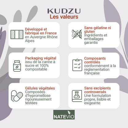 KUDZU – Extrait de racine titré à 8 % d’isoflavones