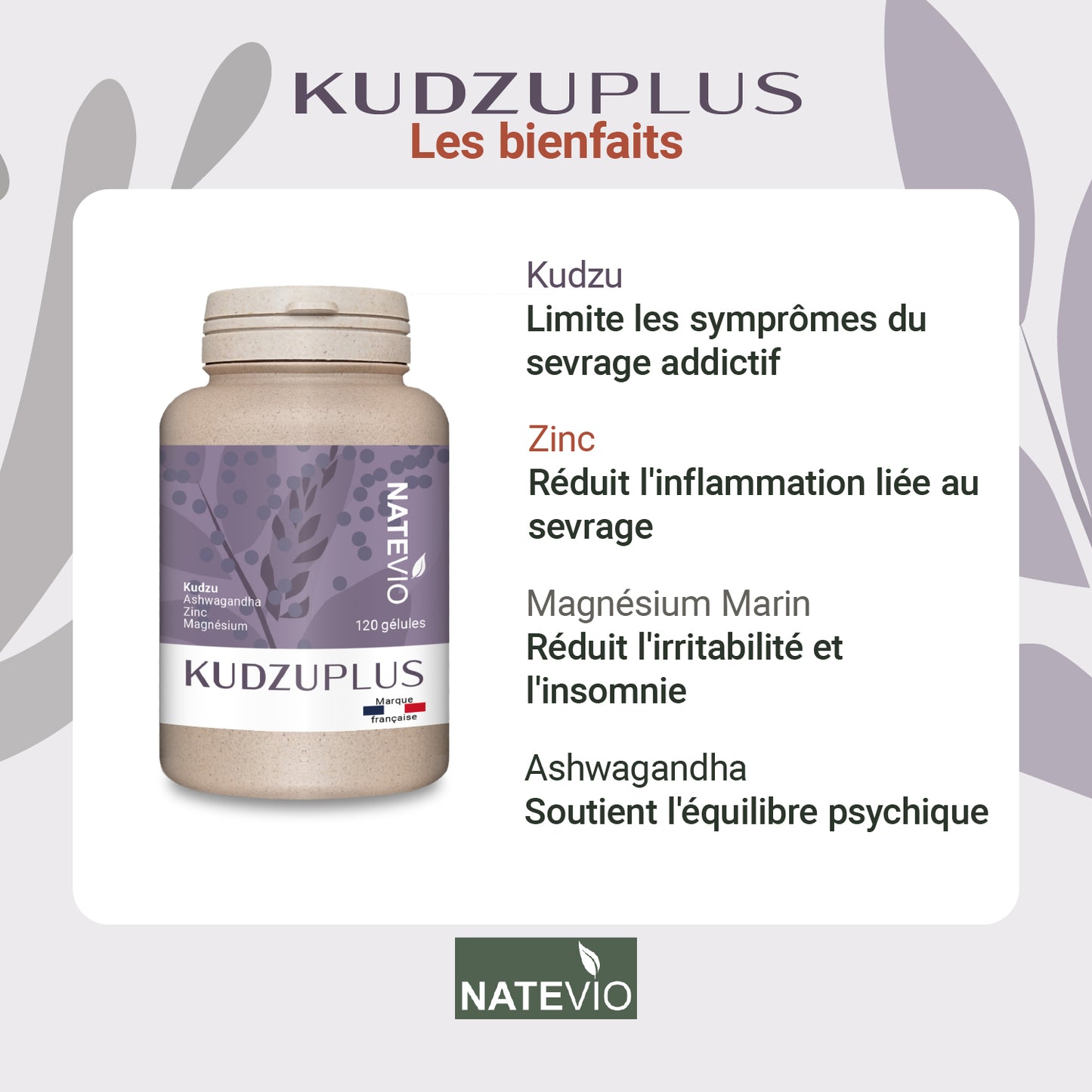 KUDZUPLUS Kudzu Ashwagandha Magnésium Zinc