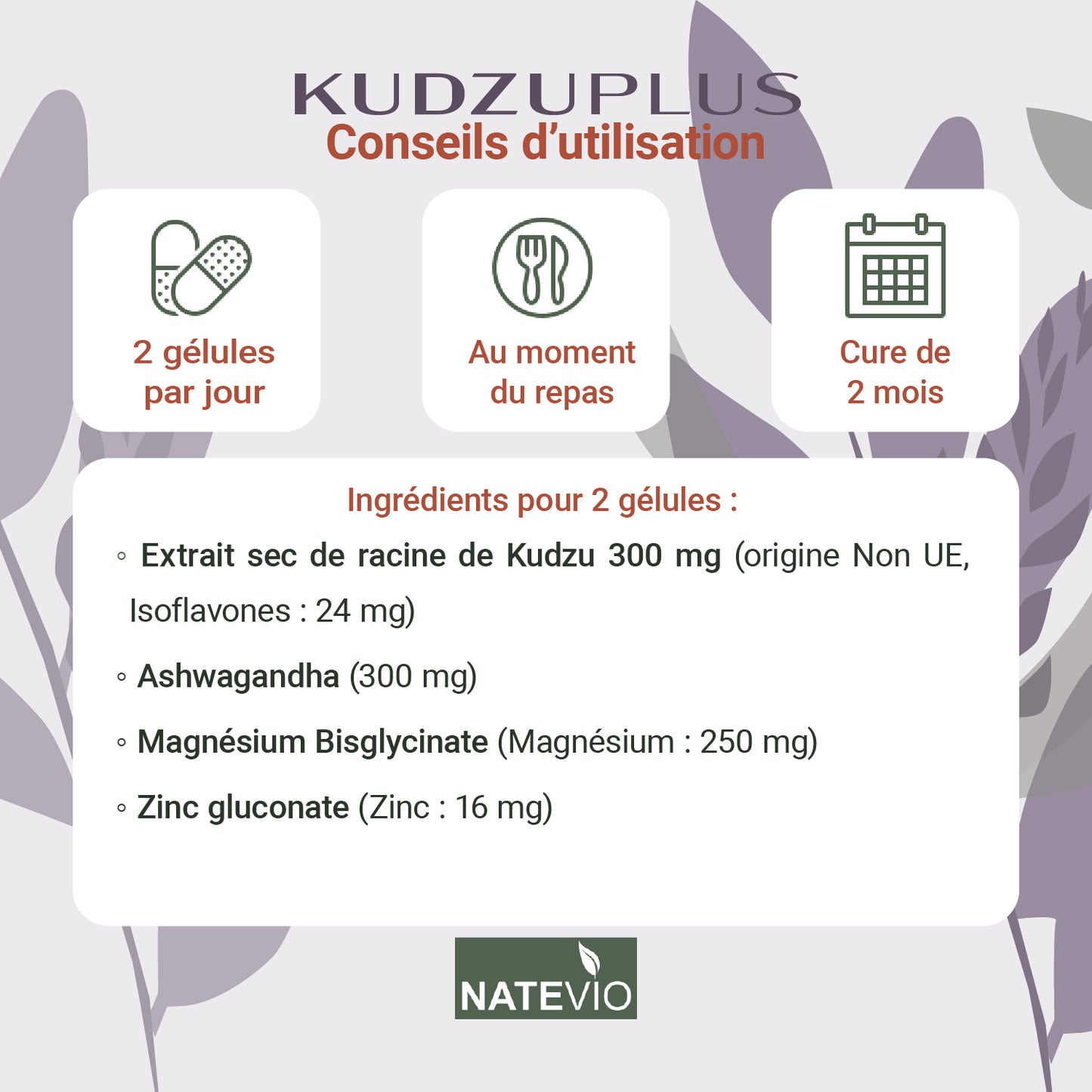 KUDZUPLUS Kudzu Ashwagandha Magnésium Zinc