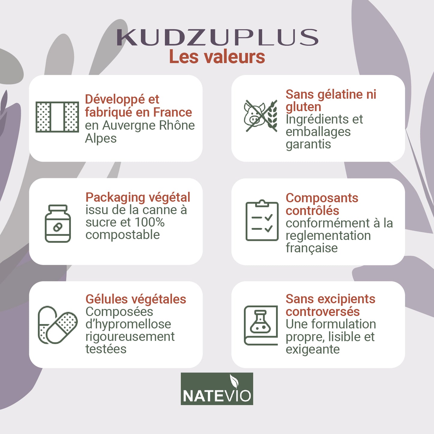 KUDZUPLUS Kudzu Ashwagandha Magnésium Zinc