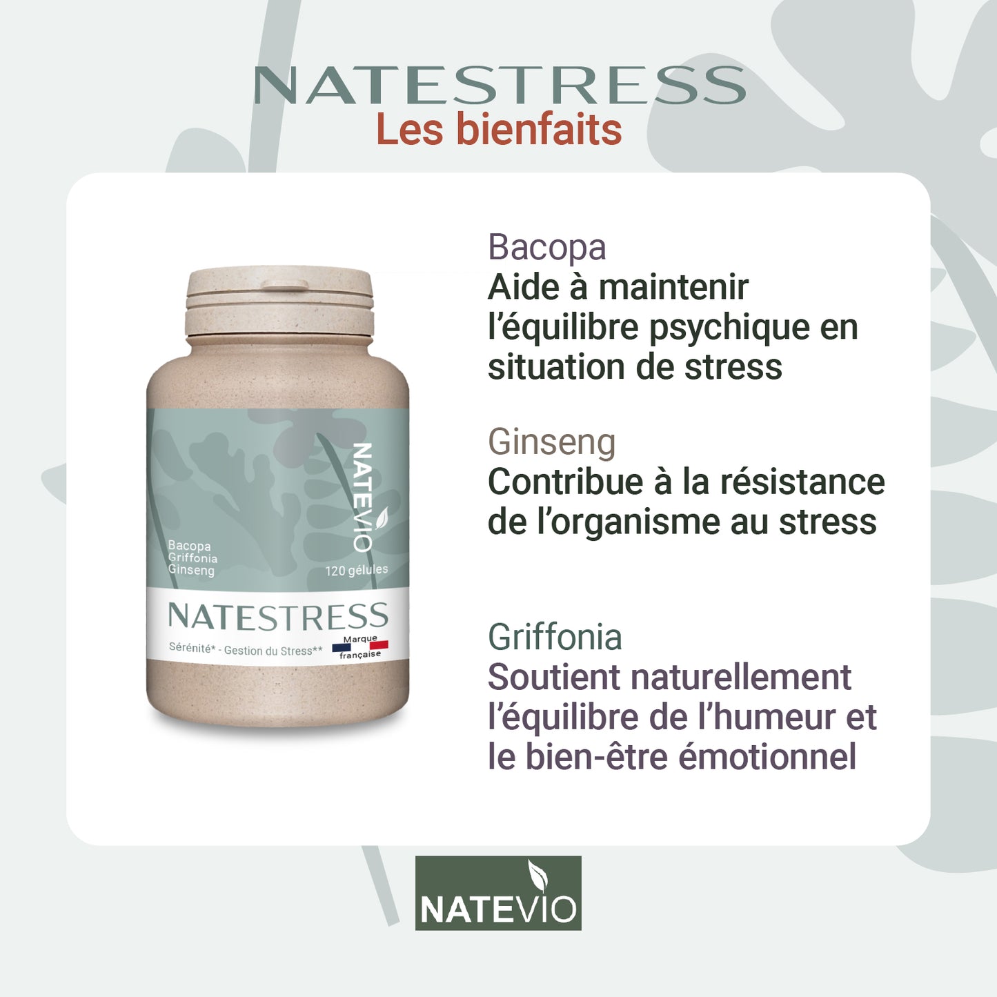 NATESTRESS Bacopa Griffonia Ginseng