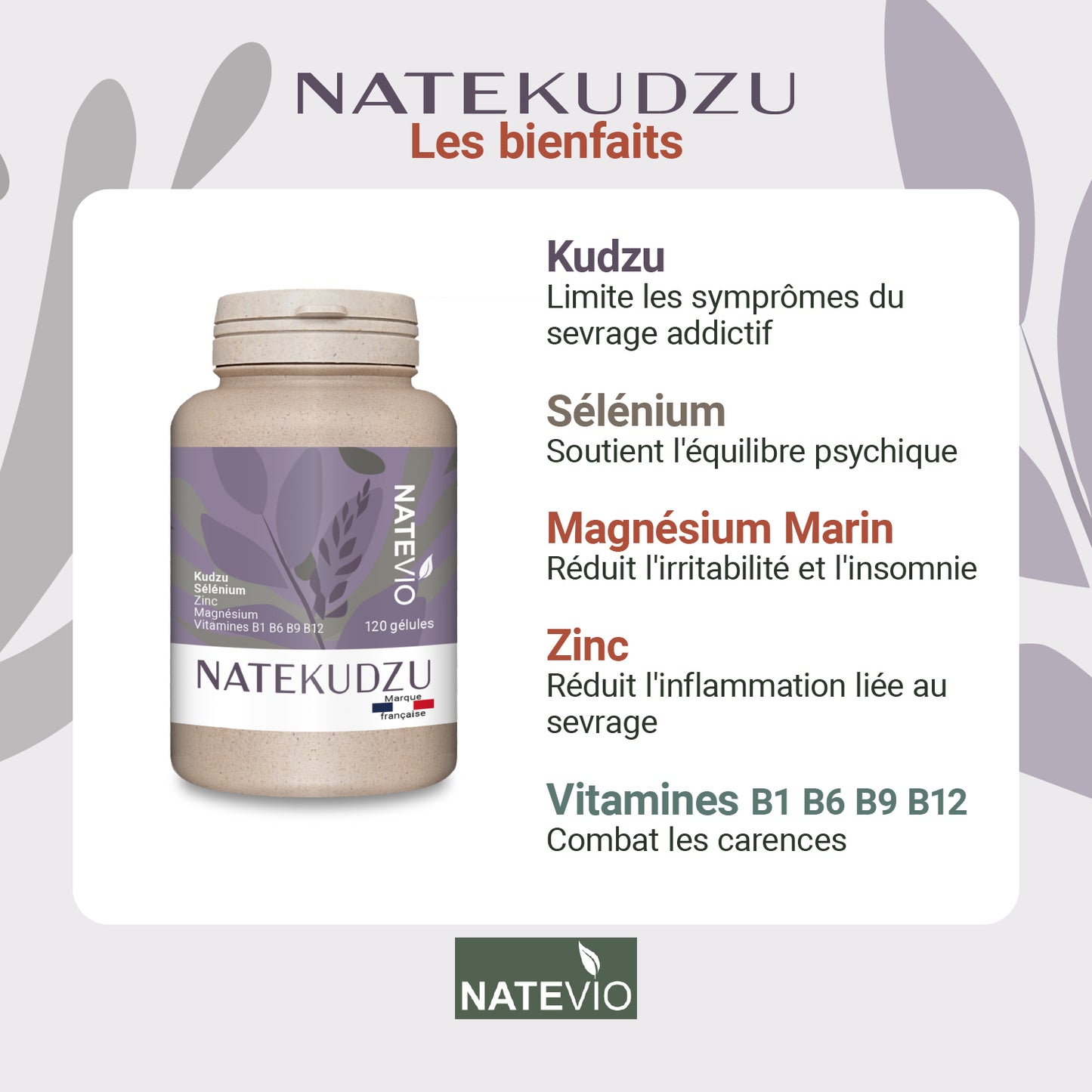 NATEKUDZU Kudzu Sélénium Magnésium Zinc Vitamines B