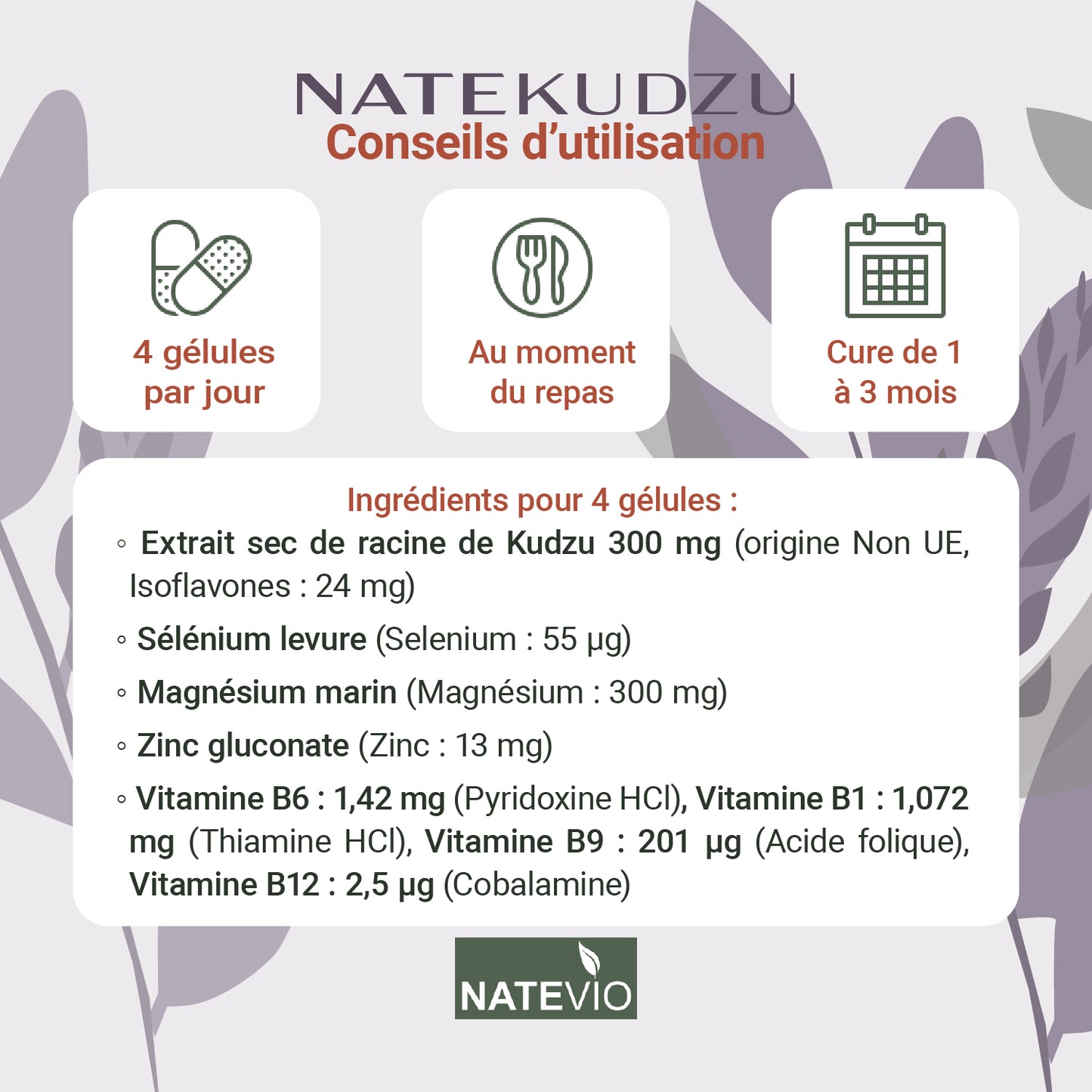 NATEKUDZU Kudzu Sélénium Magnésium Zinc Vitamines B