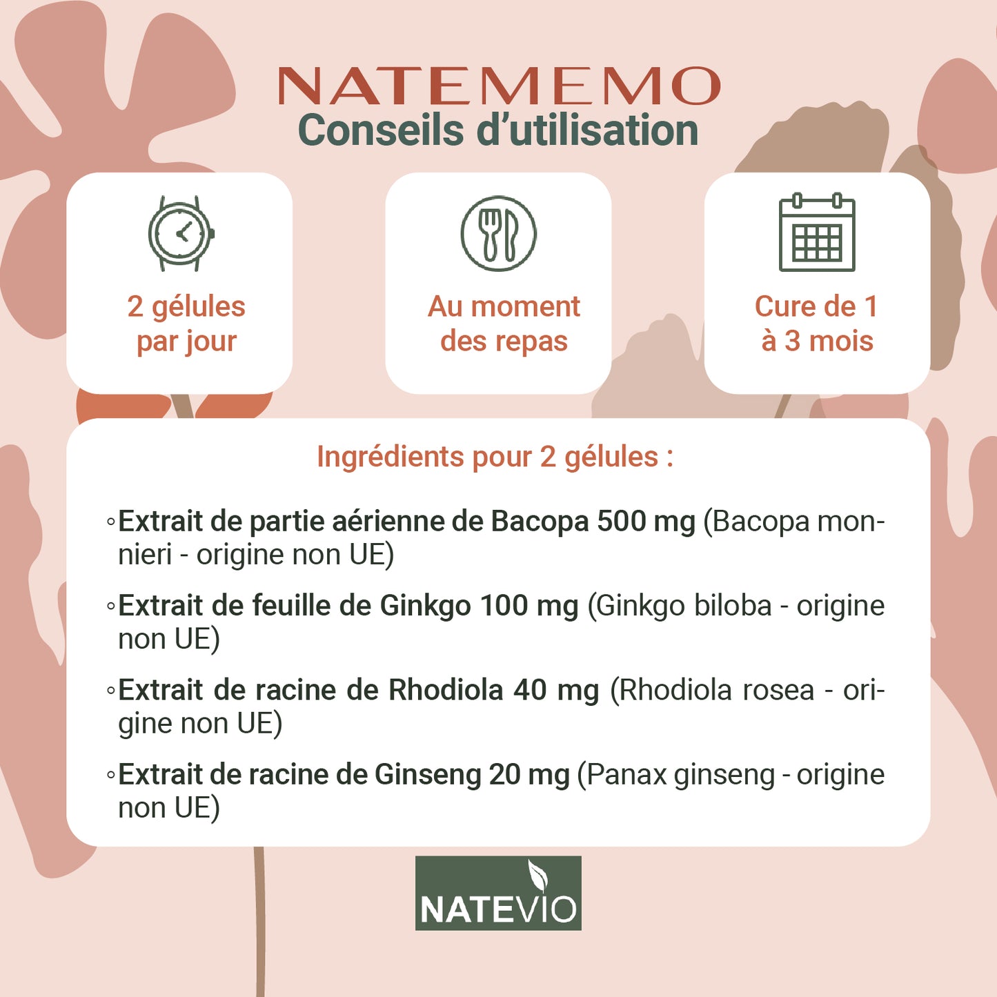 NATEMEMO Bacopa Rhodiola Gingko Ginseng