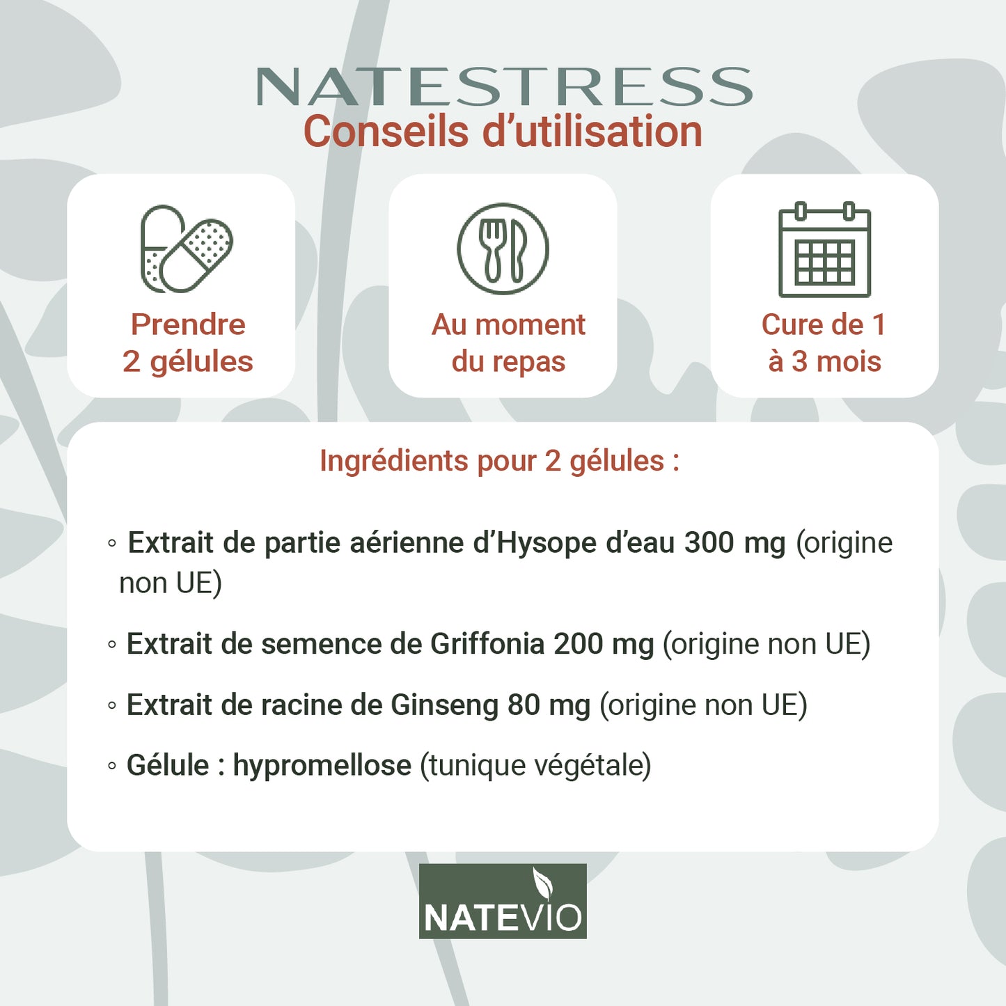 NATESTRESS Bacopa Griffonia Ginseng