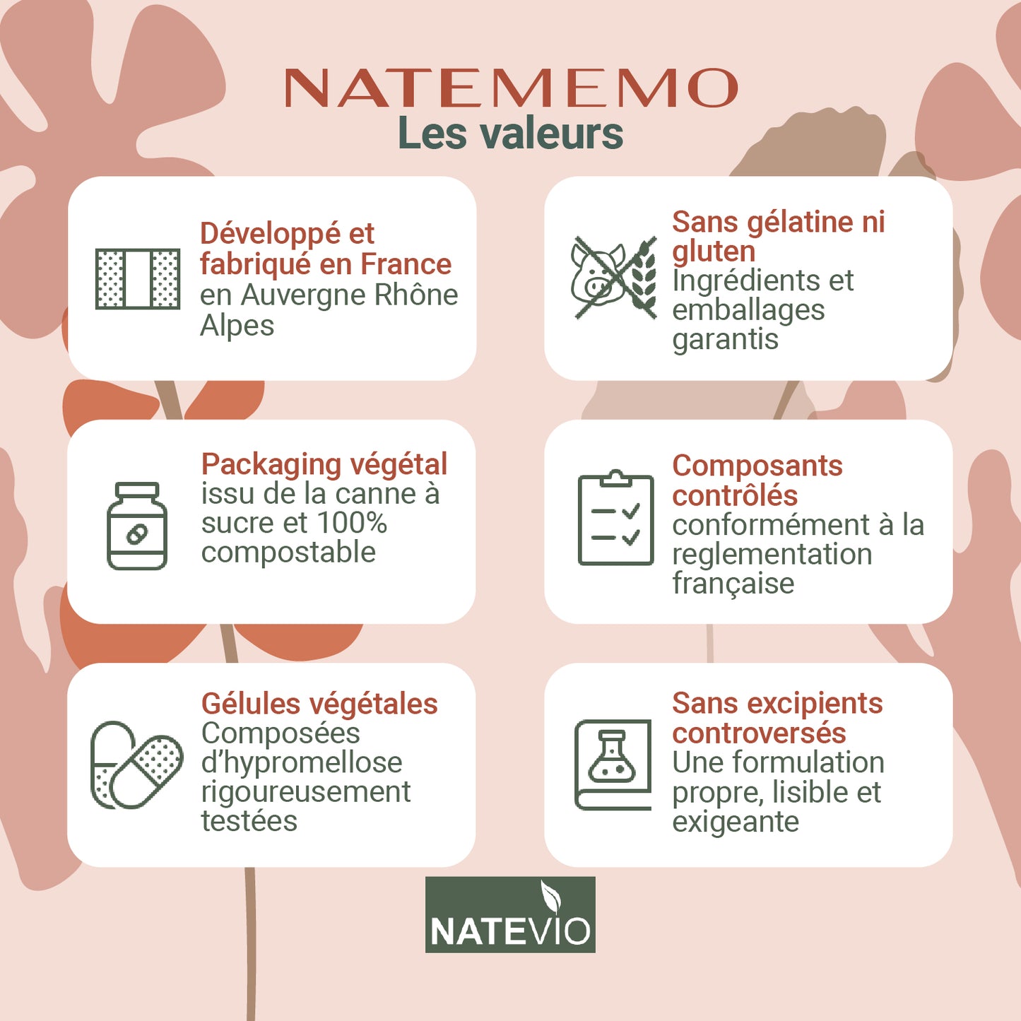 NATEMEMO Bacopa Rhodiola Gingko Ginseng