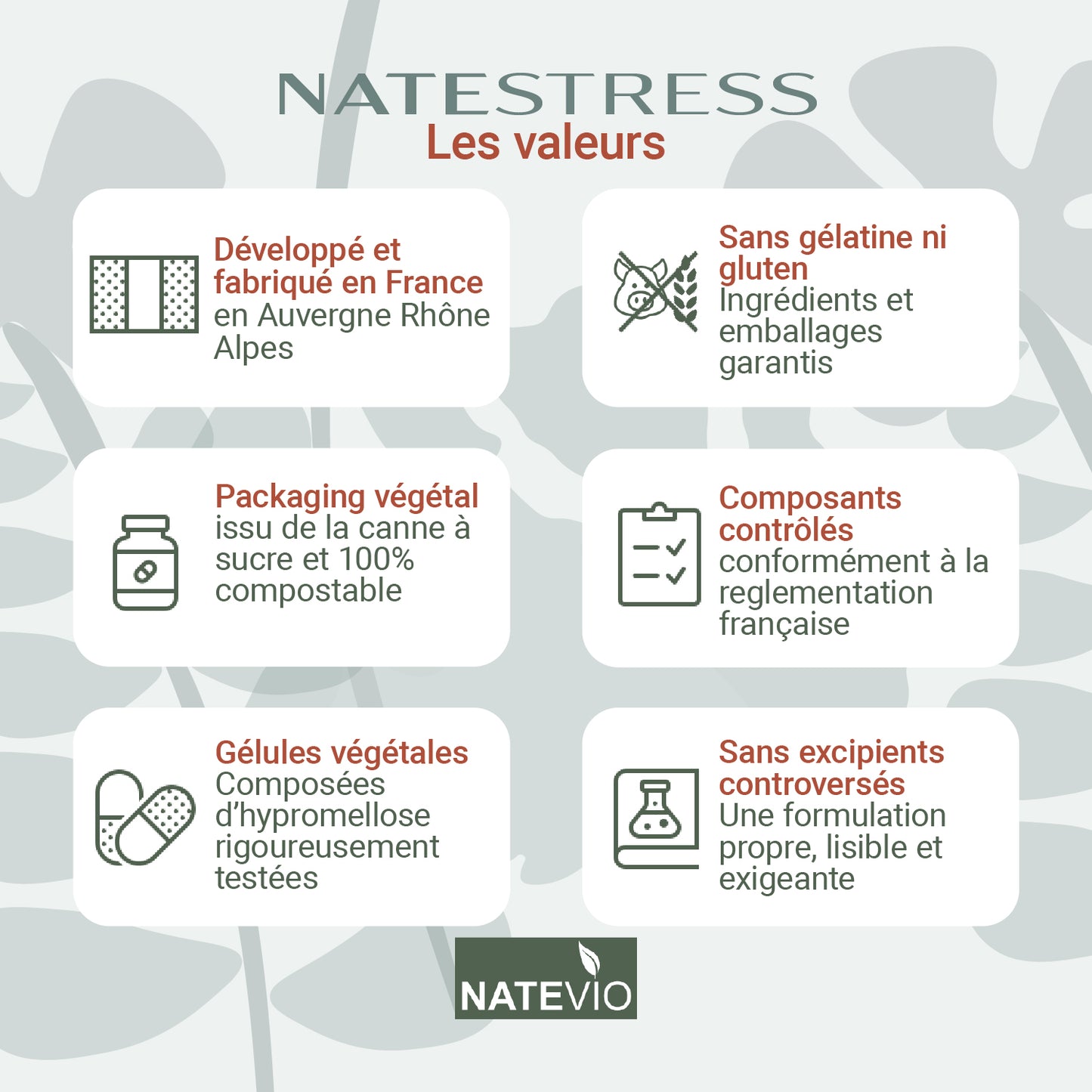 NATESTRESS Bacopa Griffonia Ginseng